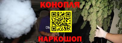 сатива Кандалакша
