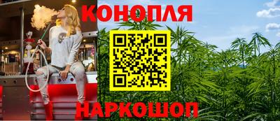 сатива Кандалакша