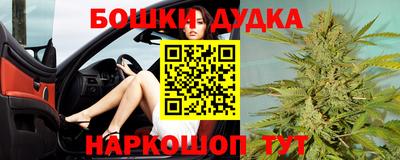 сатива Кандалакша