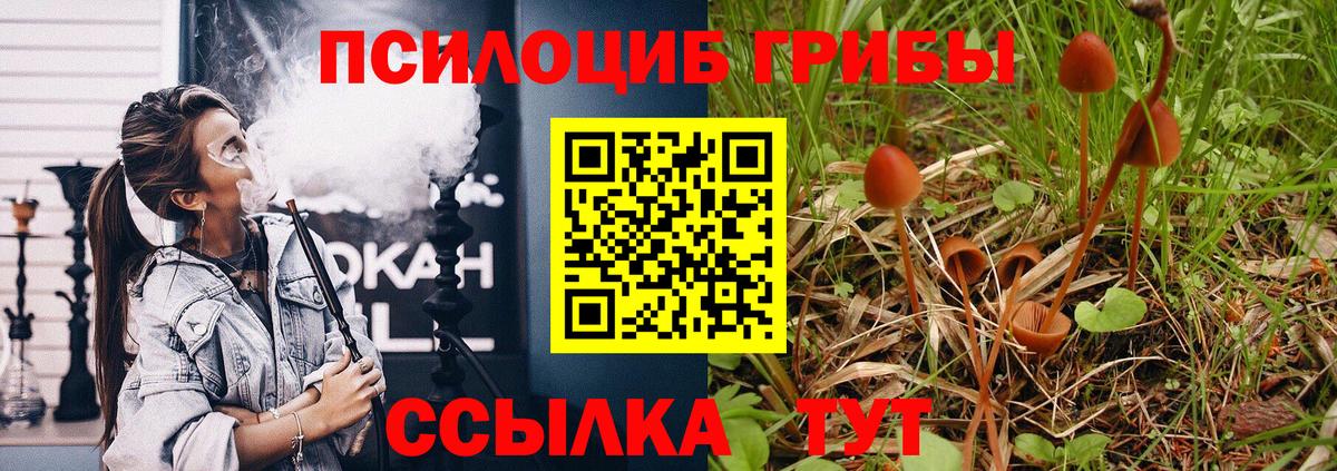 Псилоцибиновые грибы GOLDEN TEACHER  Вход с VPN  Галлюциногенные грибы Cubensis  Лабинск 