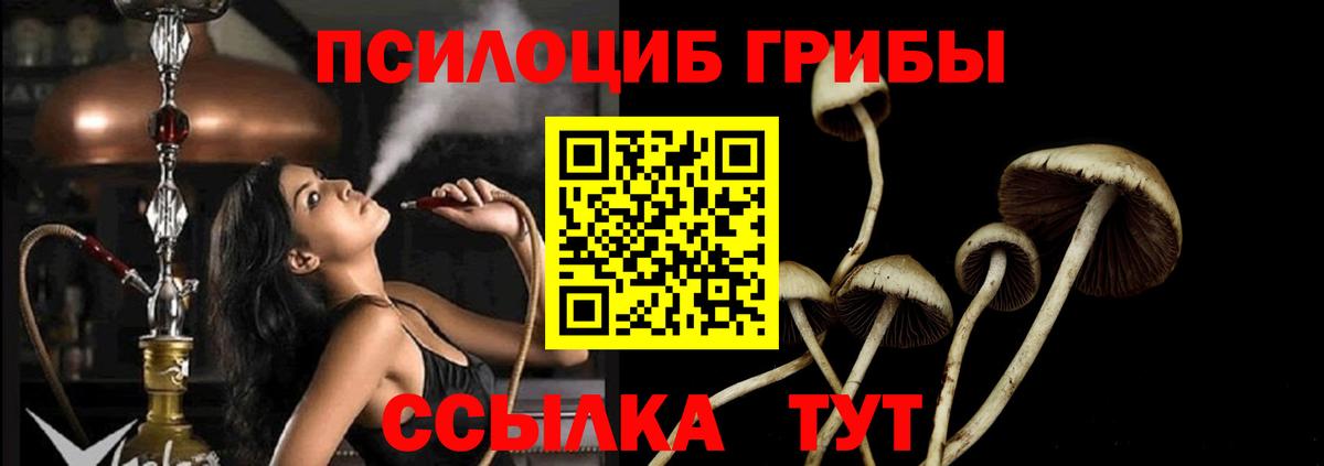 Псилоцибиновые грибы Psilocybine cubensis Лабинск